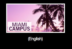 CCAT MIAMI